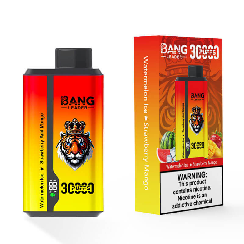 Bang Leader 30000 Dual Flavors Disposable Vape