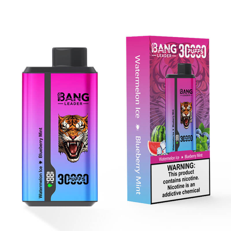 Bang Leader 30000 Dual Flavors Disposable Vape