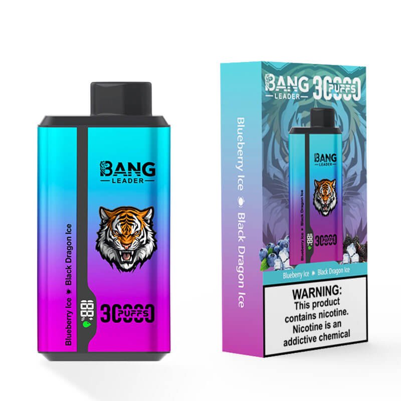 Bang Leader 30000 Dual Flavors Disposable Vape