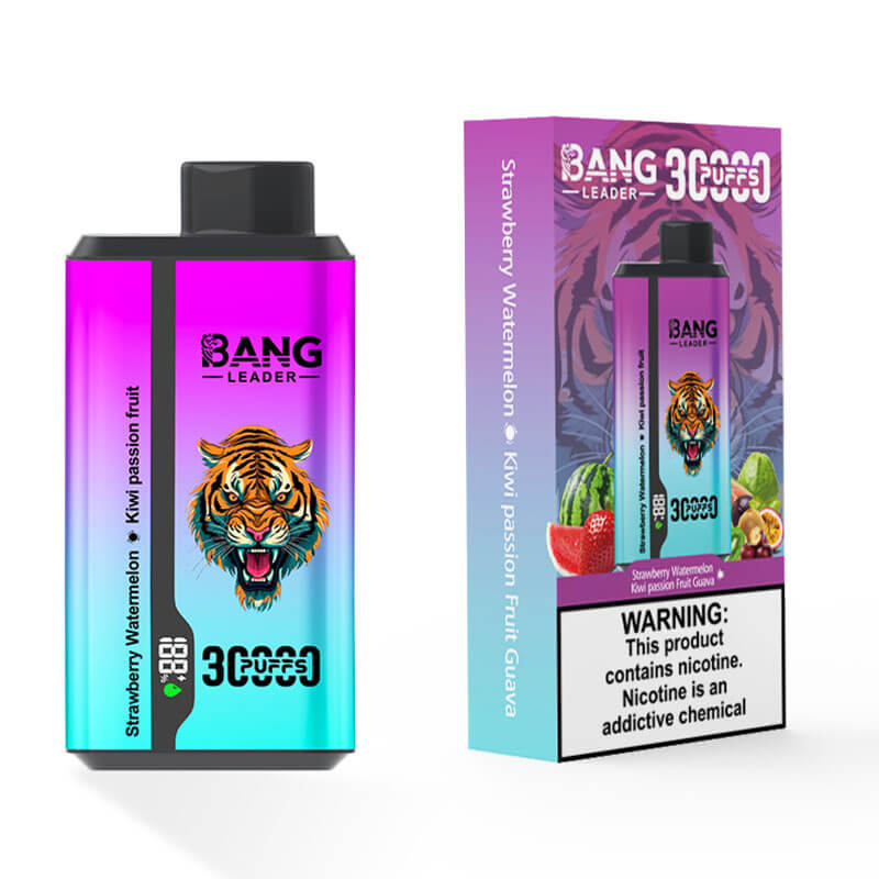 Bang Leader 30000 Dual Flavors Disposable Vape