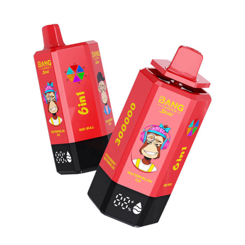 Bang Leader Stoll 300000 Puffs 6in1 Disposable Vape