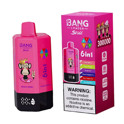 Bang Leader Stoll 300000 Puffs 6in1 Disposable Vape
